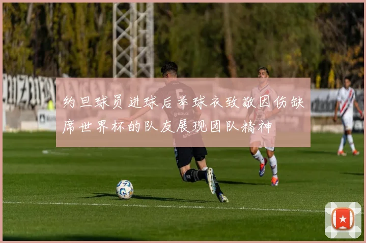 约旦球员进球后举球衣致敬因伤缺席世界杯的队友展现团队精神